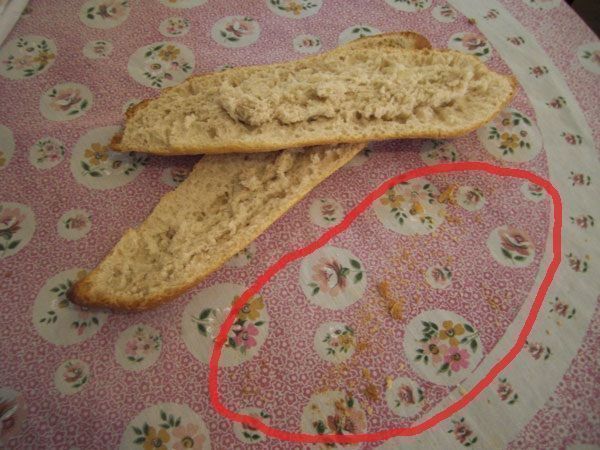 breadcrumbs on tablecloth