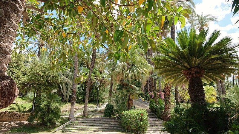 Palmeral Elche Spain