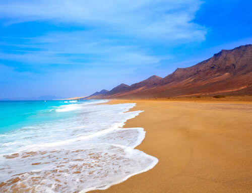 Living in Fuerteventura Spain: The Definitive Guide